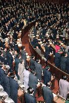 Extra stimulus budget passes lower house2